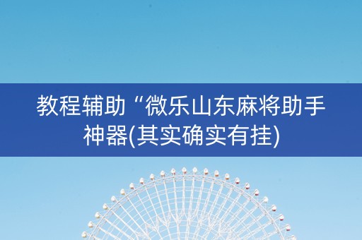 教程辅助“微乐山东麻将助手神器(其实确实有挂)