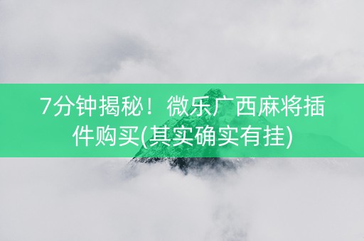 7分钟揭秘！微乐广西麻将插件购买(其实确实有挂)