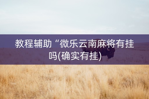 教程辅助“微乐云南麻将有挂吗(确实有挂)