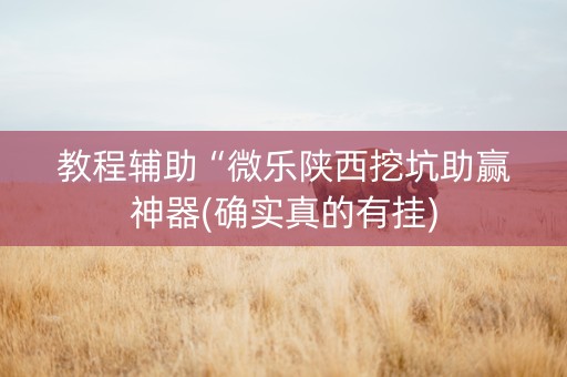 教程辅助“微乐陕西挖坑助赢神器(确实真的有挂)