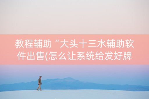教程辅助“大头十三水辅助软件出售(怎么让系统给发好牌)