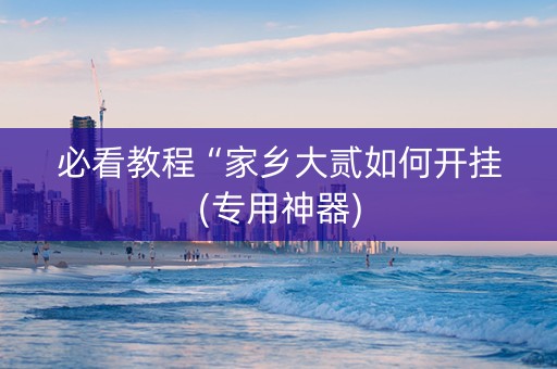 必看教程“家乡大贰如何开挂(专用神器)