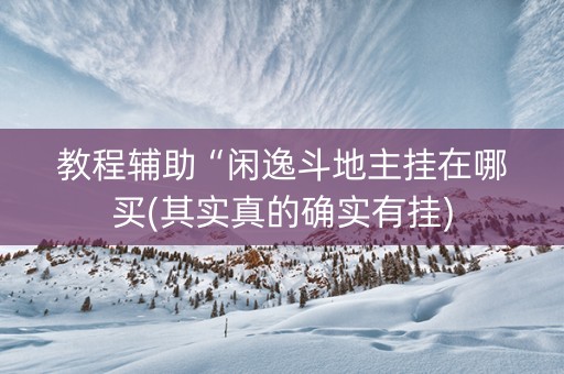 教程辅助“闲逸斗地主挂在哪买(其实真的确实有挂)