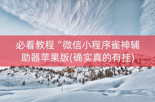 必看教程“微信小程序雀神辅助器苹果版(确实真的有挂)