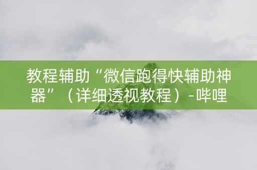 教程辅助“微信跑得快辅助神器”（详细透视教程）-哔哩哔哩