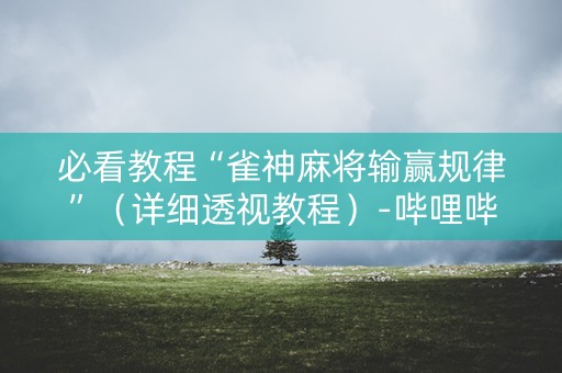 必看教程“雀神麻将输赢规律”（详细透视教程）-哔哩哔哩