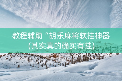 教程辅助“胡乐麻将软挂神器(其实真的确实有挂)