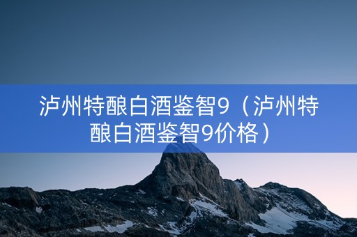 泸州特酿白酒鉴智9（泸州特酿白酒鉴智9价格）