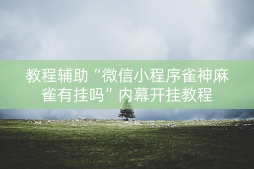 教程辅助“微信小程序雀神麻雀有挂吗”内幕开挂教程