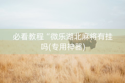 必看教程“微乐湖北麻将有挂吗(专用神器)