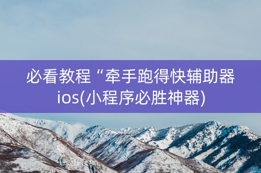 必看教程“牵手跑得快辅助器ios(小程序必胜神器)