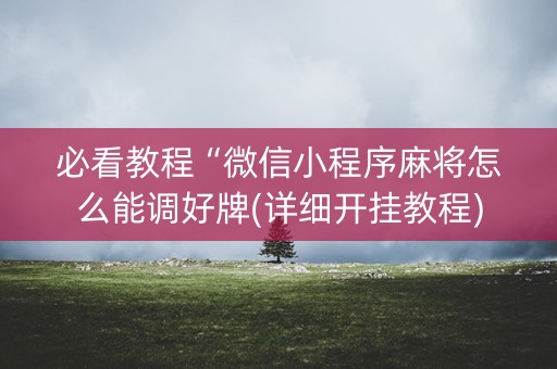必看教程“微信小程序麻将怎么能调好牌(详细开挂教程)