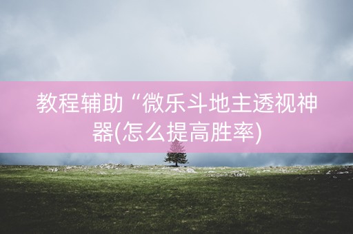 教程辅助“微乐斗地主透视神器(怎么提高胜率)