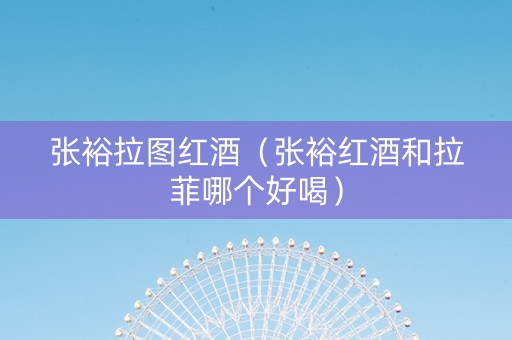 张裕拉图红酒（张裕红酒和拉菲哪个好喝）