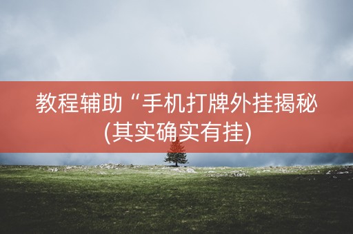 教程辅助“手机打牌外挂揭秘(其实确实有挂)