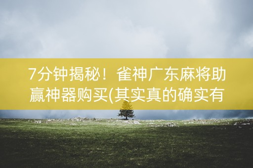 7分钟揭秘！雀神广东麻将助赢神器购买(其实真的确实有挂)