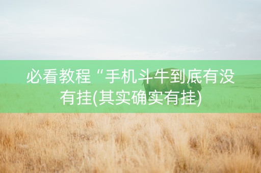 必看教程“手机斗牛到底有没有挂(其实确实有挂)