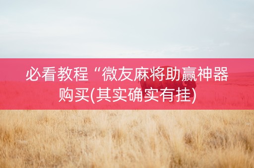 必看教程“微友麻将助赢神器购买(其实确实有挂)
