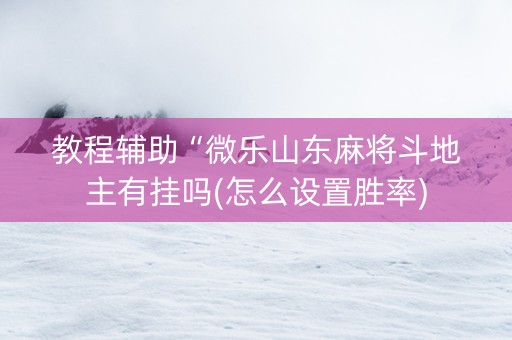 教程辅助“微乐山东麻将斗地主有挂吗(怎么设置胜率)