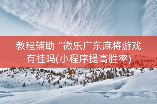 教程辅助“微乐广东麻将游戏有挂吗(小程序提高胜率)