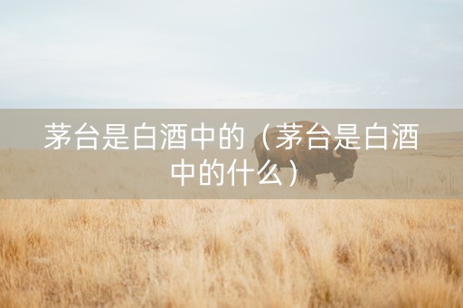 茅台是白酒中的（茅台是白酒中的什么）