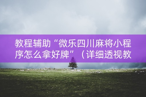 教程辅助“微乐四川麻将小程序怎么拿好牌”（详细透视教程）-哔哩哔哩