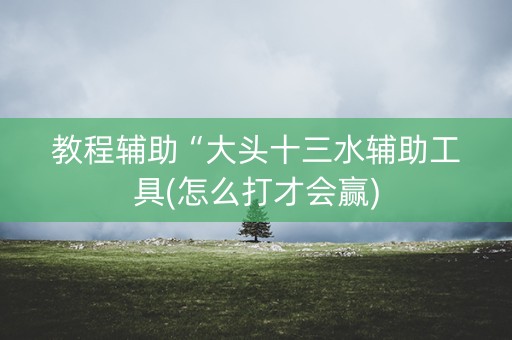 教程辅助“大头十三水辅助工具(怎么打才会赢)