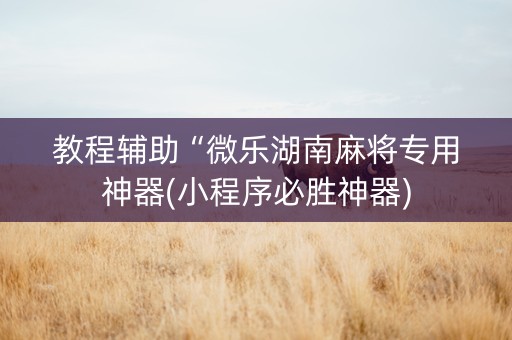 教程辅助“微乐湖南麻将专用神器(小程序必胜神器)