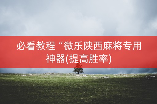 必看教程“微乐陕西麻将专用神器(提高胜率)