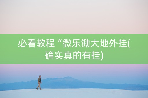 必看教程“微乐锄大地外挂(确实真的有挂)