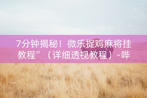 7分钟揭秘！微乐捉鸡麻将挂教程”（详细透视教程）-哔哩哔哩