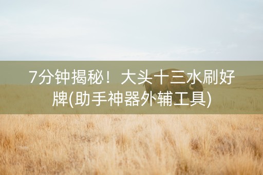 7分钟揭秘！大头十三水刷好牌(助手神器外辅工具)