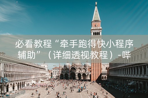 必看教程“牵手跑得快小程序辅助”（详细透视教程）-哔哩哔哩