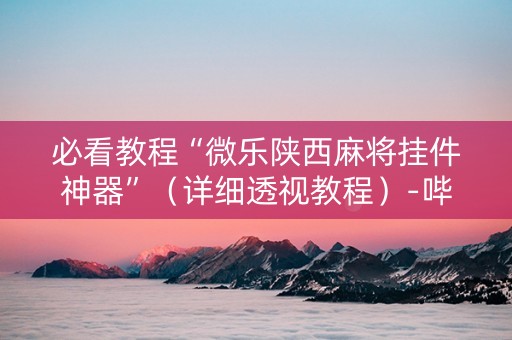 必看教程“微乐陕西麻将挂件神器”（详细透视教程）-哔哩哔哩
