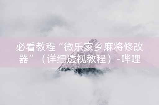 必看教程“微乐家乡麻将修改器”（详细透视教程）-哔哩哔哩