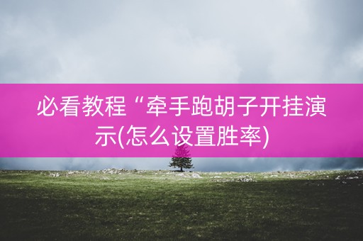 必看教程“牵手跑胡子开挂演示(怎么设置胜率)