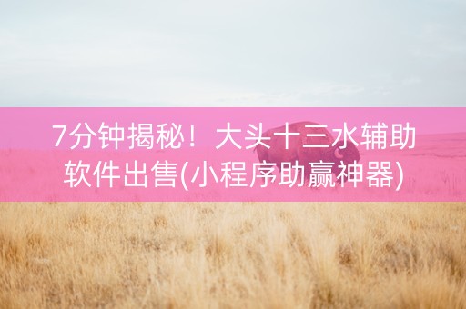 7分钟揭秘！大头十三水辅助软件出售(小程序助赢神器)