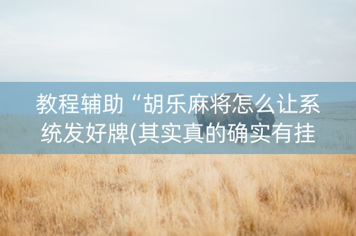 教程辅助“胡乐麻将怎么让系统发好牌(其实真的确实有挂)