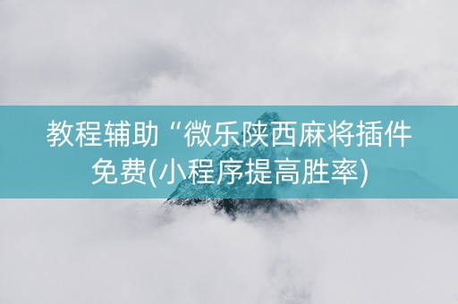 教程辅助“微乐陕西麻将插件免费(小程序提高胜率)