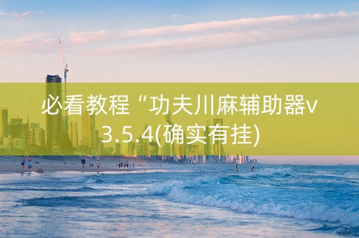 必看教程“功夫川麻辅助器v3.5.4(确实有挂)