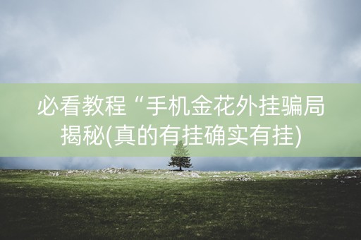 必看教程“手机金花外挂骗局揭秘(真的有挂确实有挂)