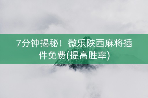 7分钟揭秘！微乐陕西麻将插件免费(提高胜率)