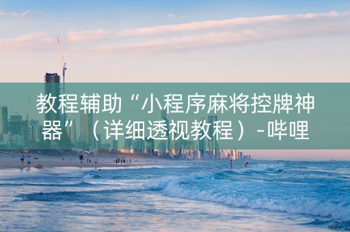 教程辅助“小程序麻将控牌神器”（详细透视教程）-哔哩哔哩
