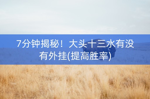 7分钟揭秘！大头十三水有没有外挂(提高胜率)