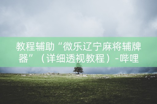教程辅助“微乐辽宁麻将辅牌器”（详细透视教程）-哔哩哔哩
