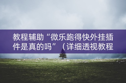 教程辅助“微乐跑得快外挂插件是真的吗”（详细透视教程）-哔哩哔哩