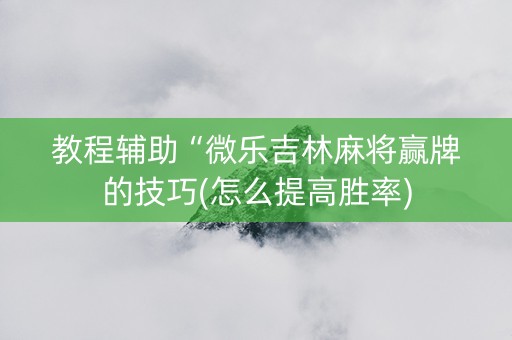教程辅助“微乐吉林麻将赢牌的技巧(怎么提高胜率)