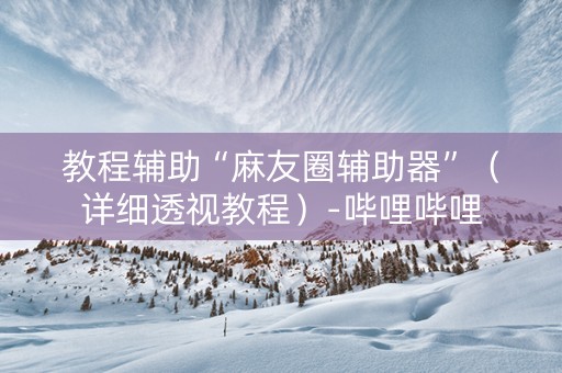 教程辅助“麻友圈辅助器”（详细透视教程）-哔哩哔哩