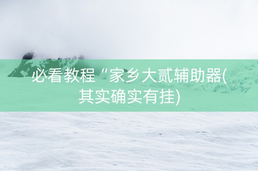 必看教程“家乡大贰辅助器(其实确实有挂)