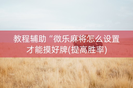 教程辅助“微乐麻将怎么设置才能摸好牌(提高胜率)